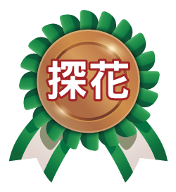 探花